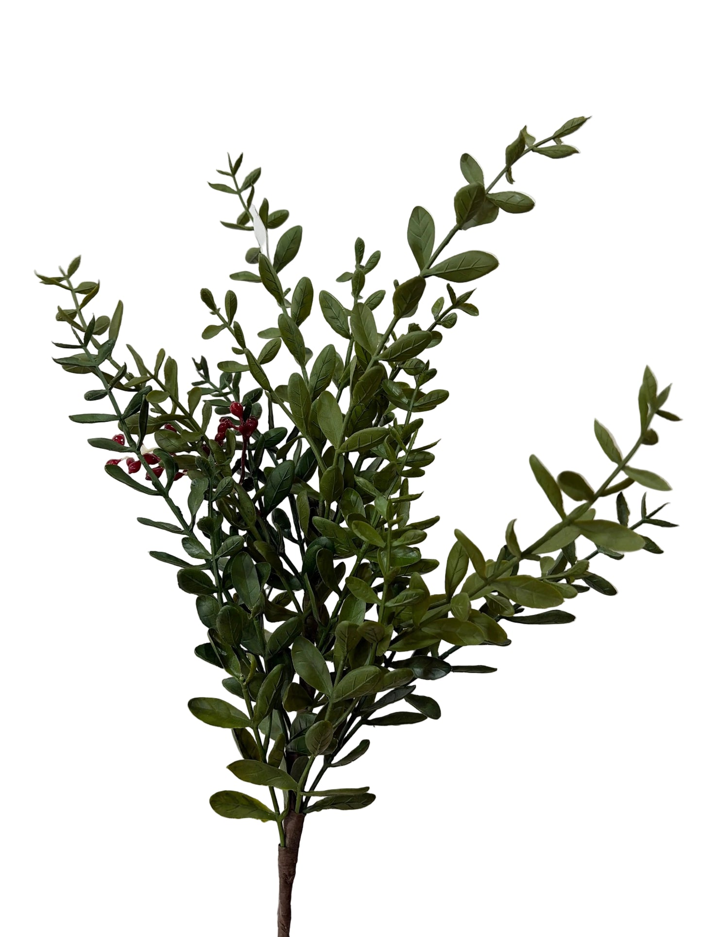 25in Outdoor Green Ruscus Spray - Premium Greenery for Wreaths, Arrangements and Home Decor CRI