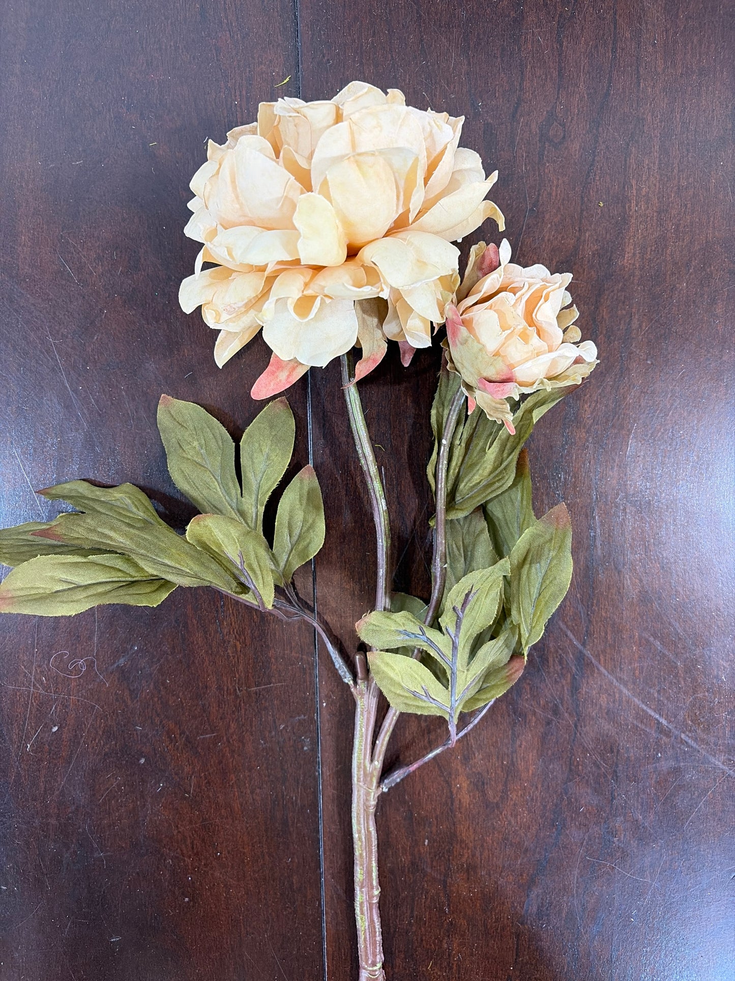 26in Cream Peony and Bud 0518