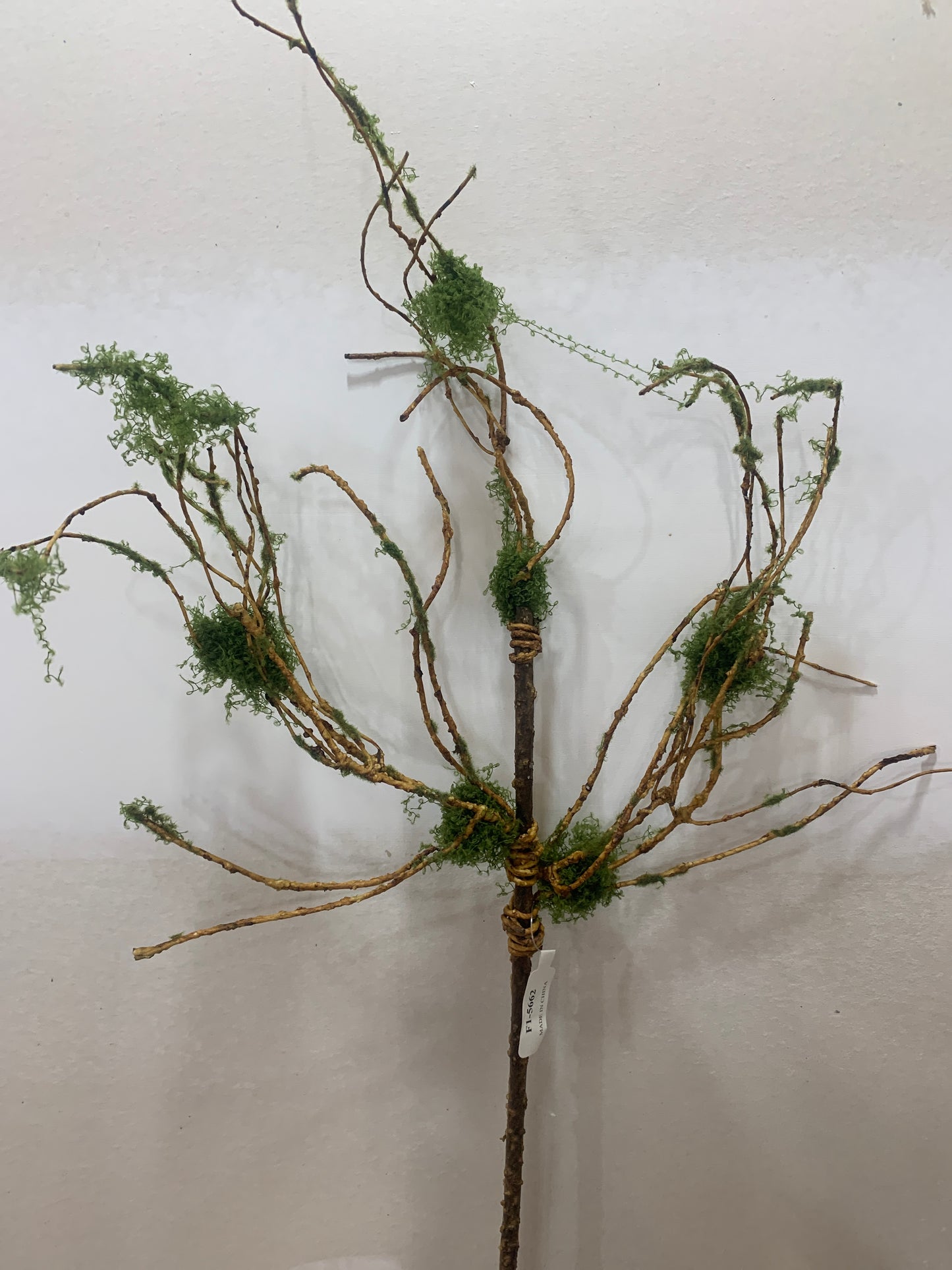 32in Moss Twig Spray