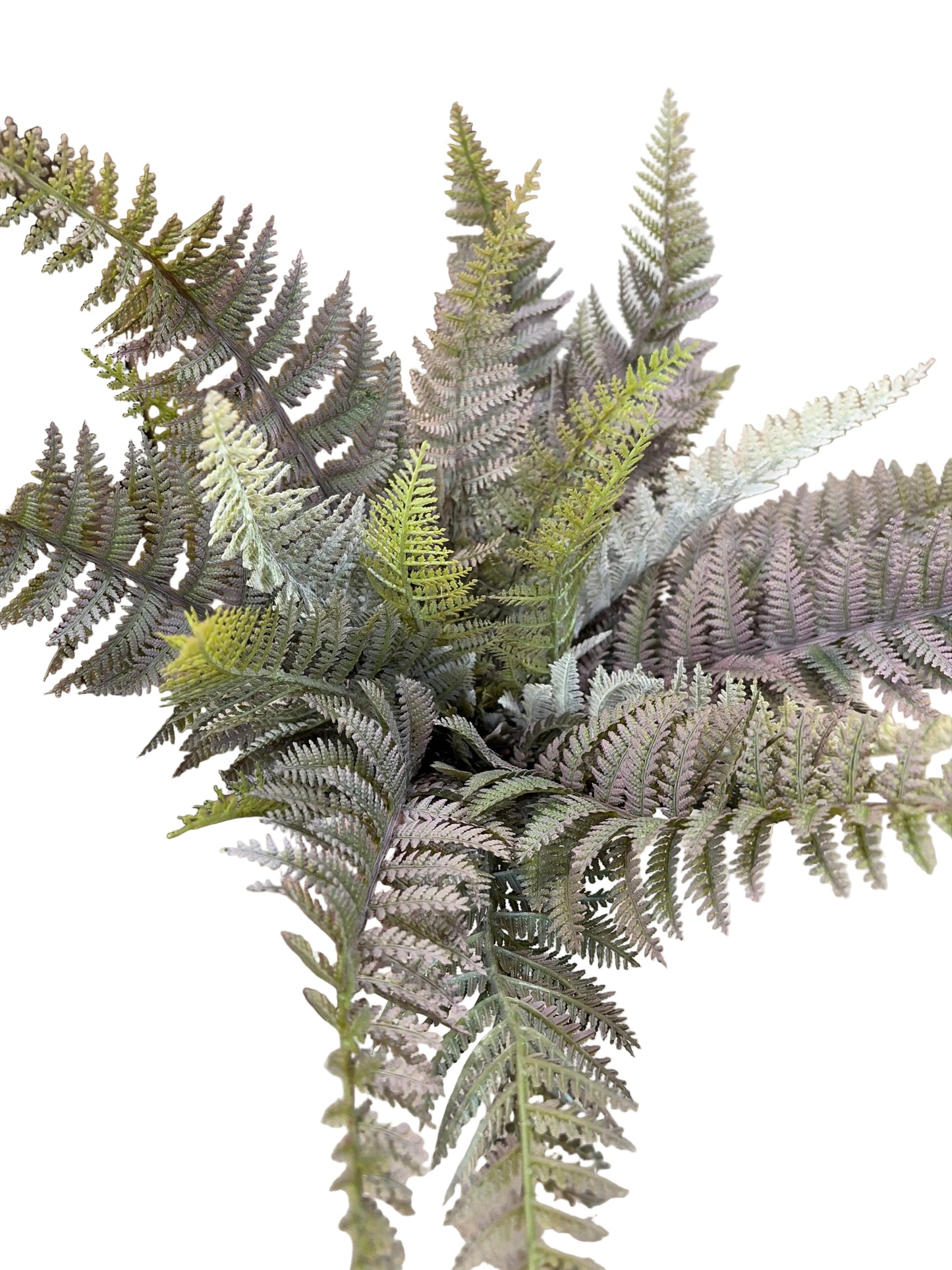 21in Mauve Green Fern - Premium Greenery for Wreaths, Arrangements and Home Decor Allstate