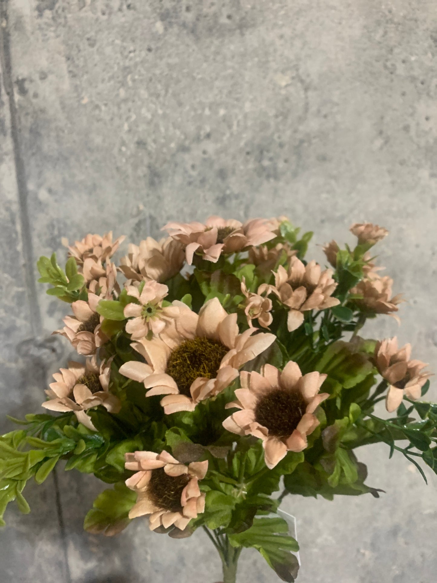 14in Mini Sunflower x13 COFFEE