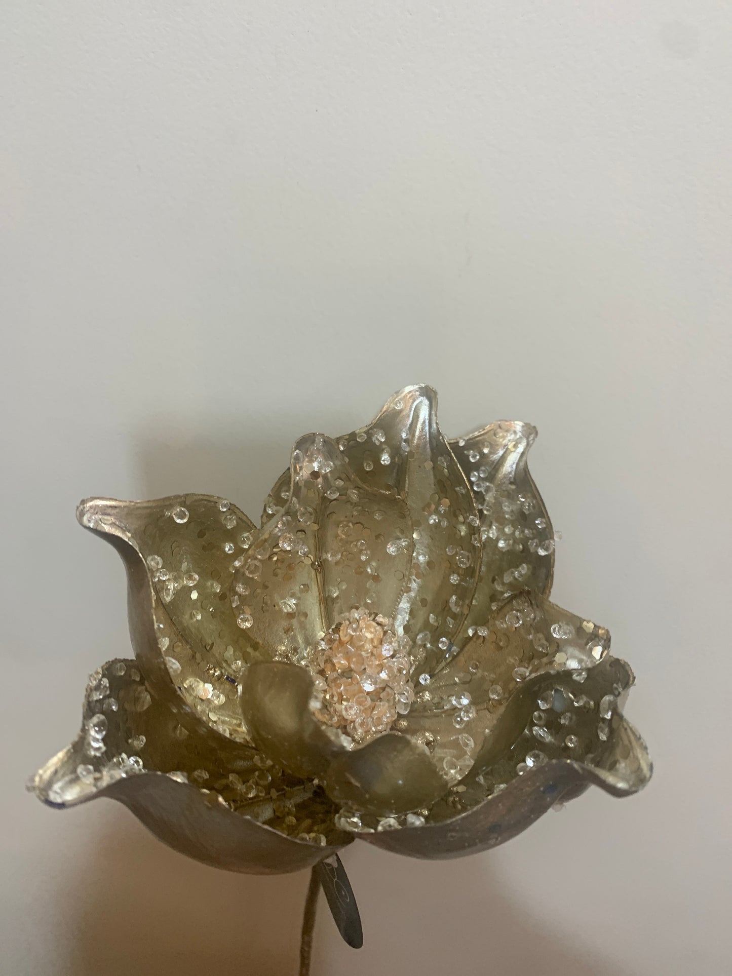 21in Iced Magnolia CHAMPAGNE