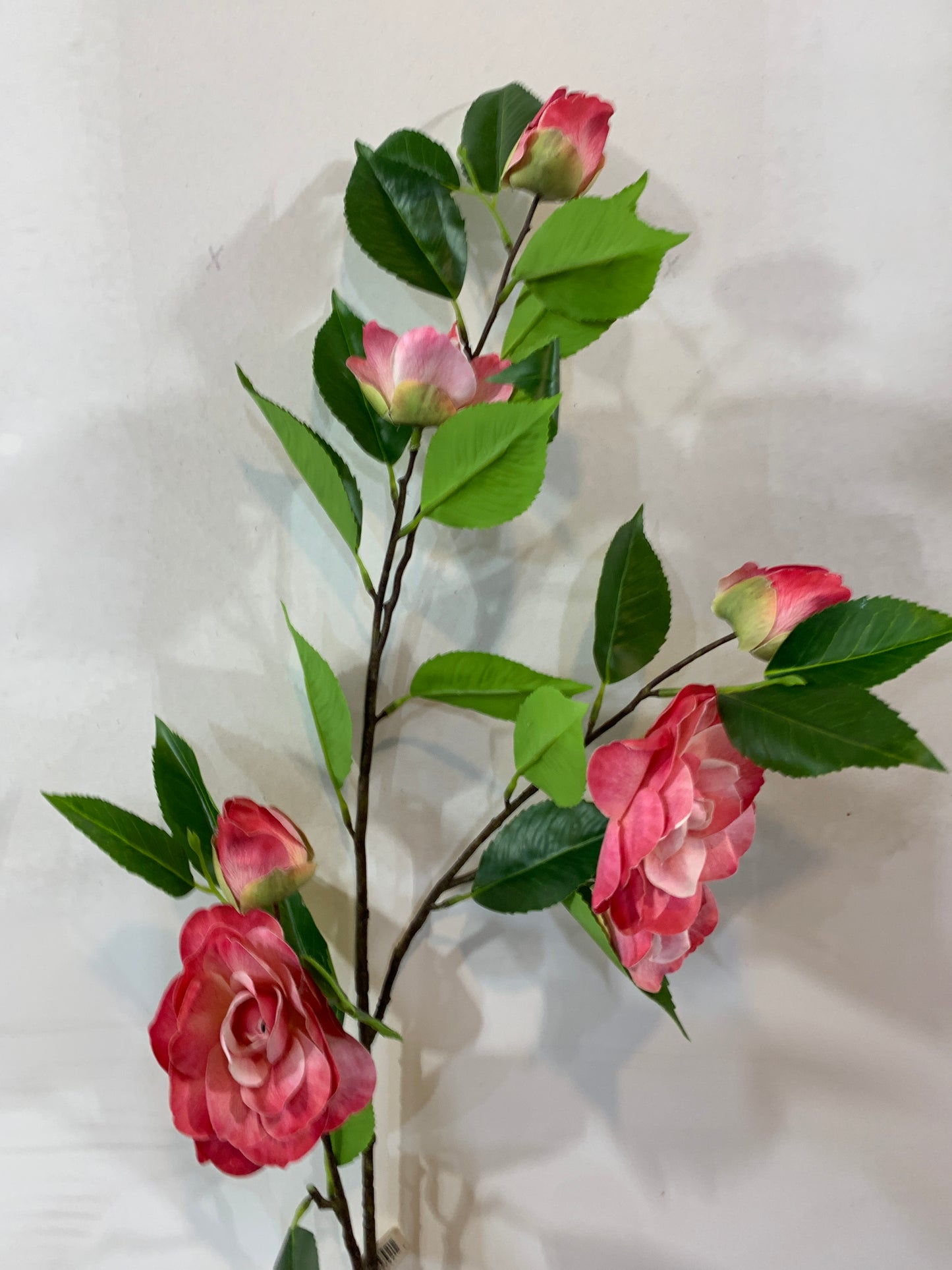 35in Camellia Spray