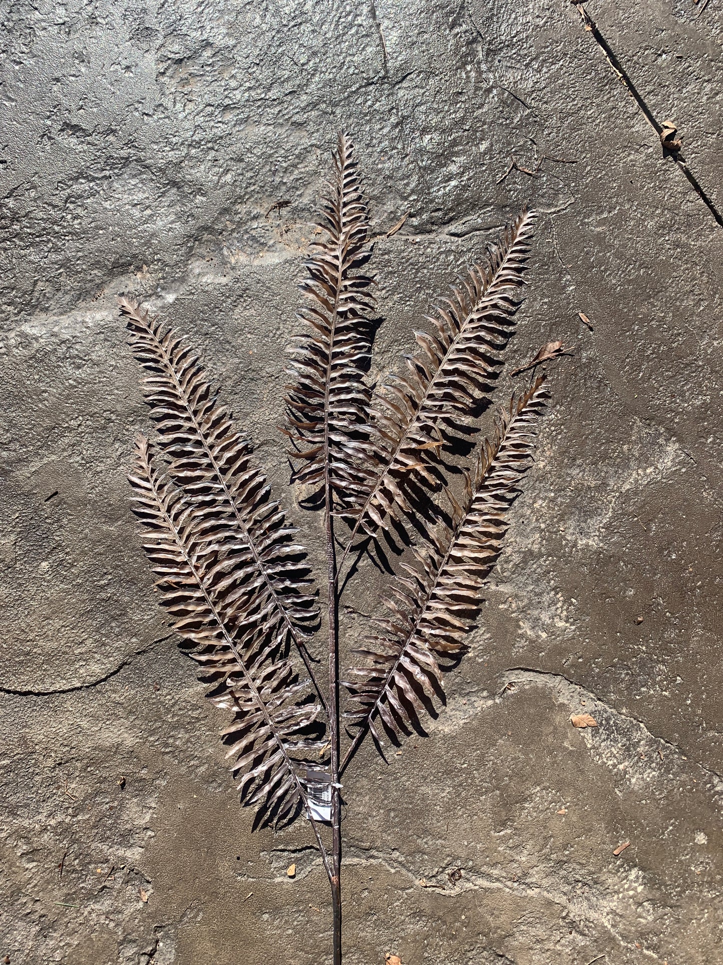 39in Brown/Taupe Fern Frond Spray aaa