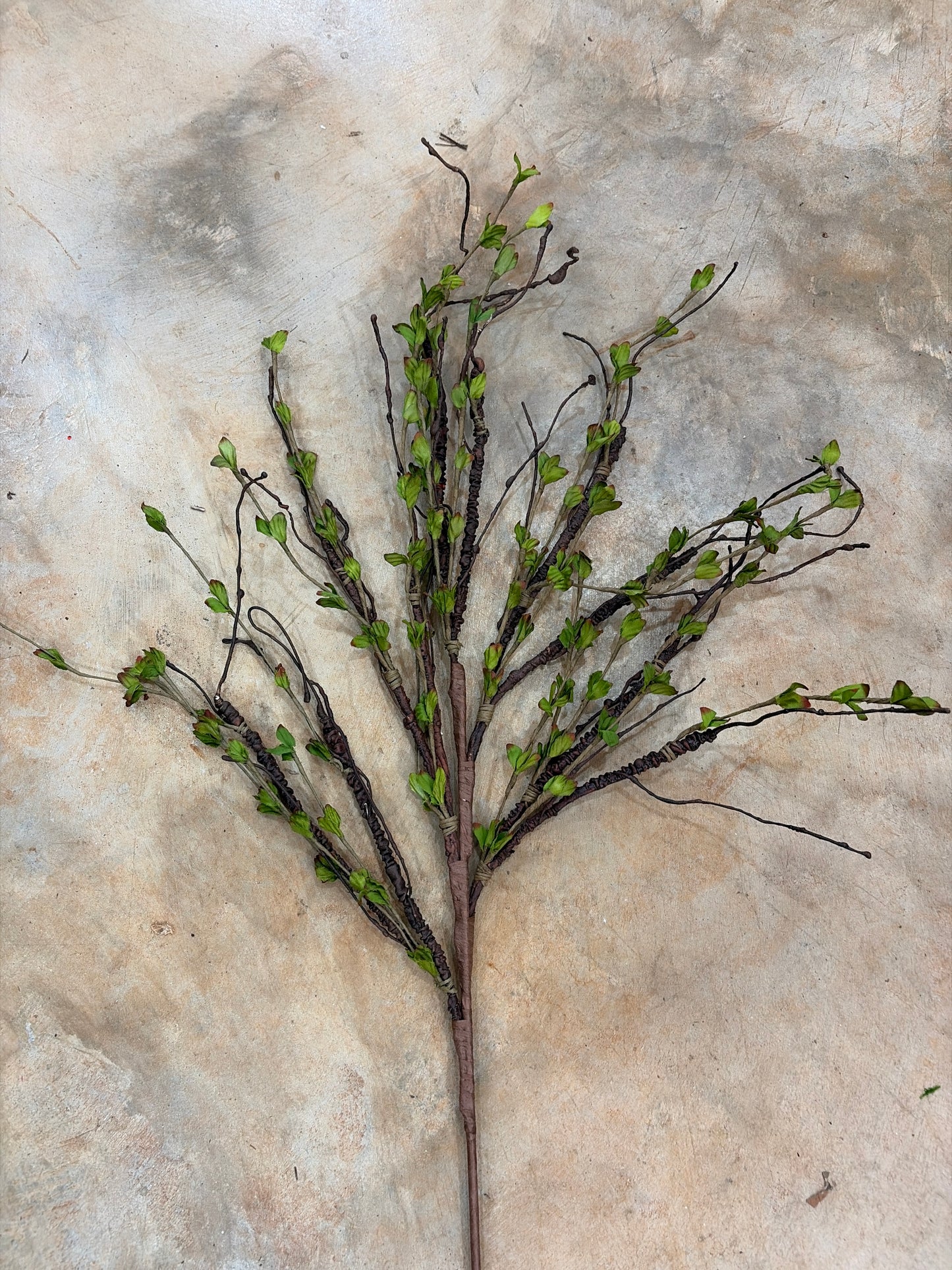 40 in Greening Brown Twig Spray
