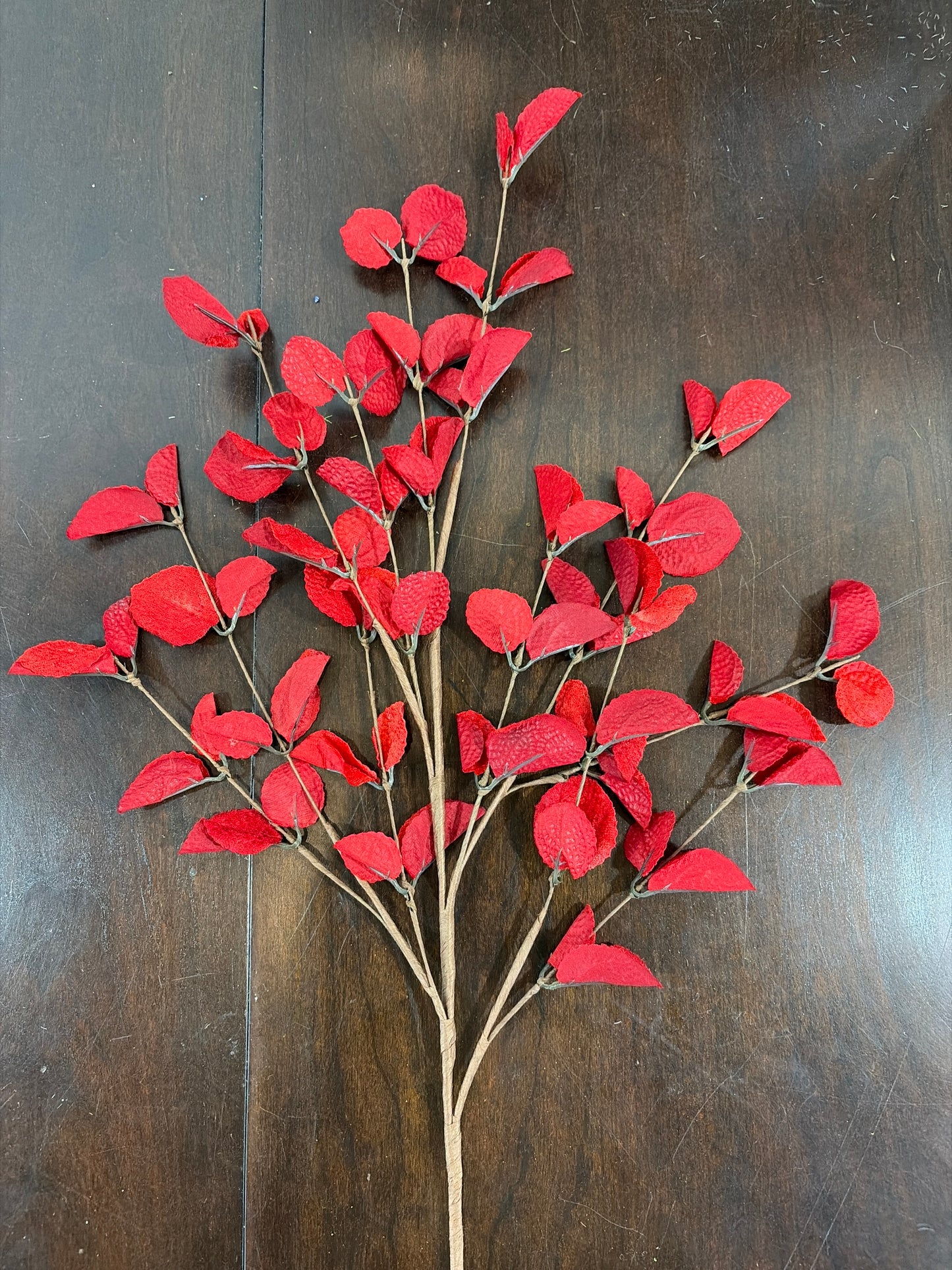 29in Red Velvet Eucalyptus