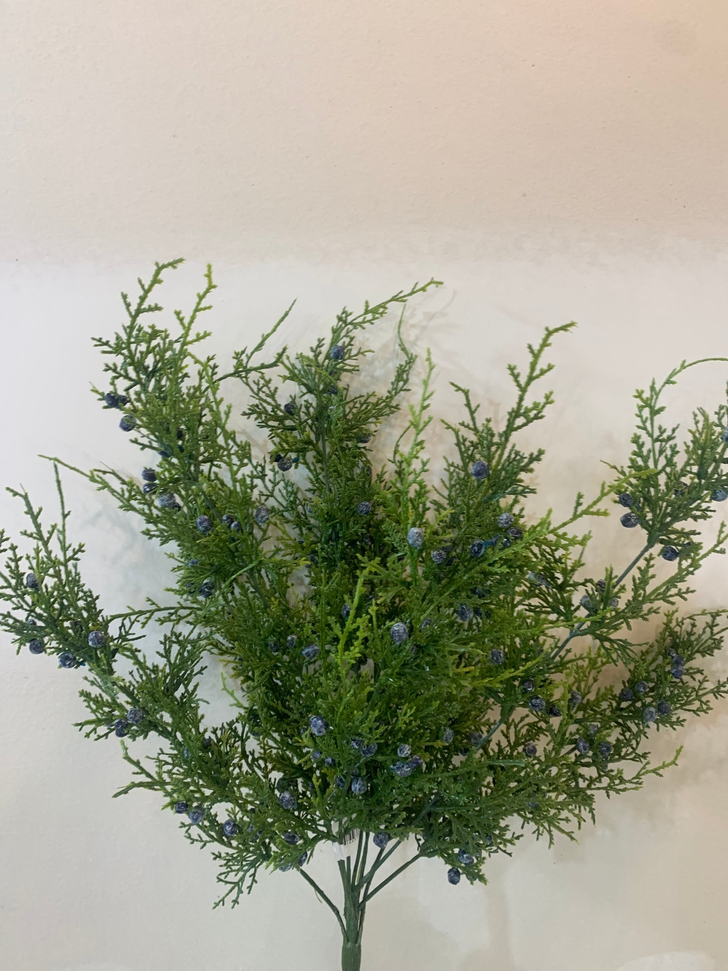 21in Juniper x9