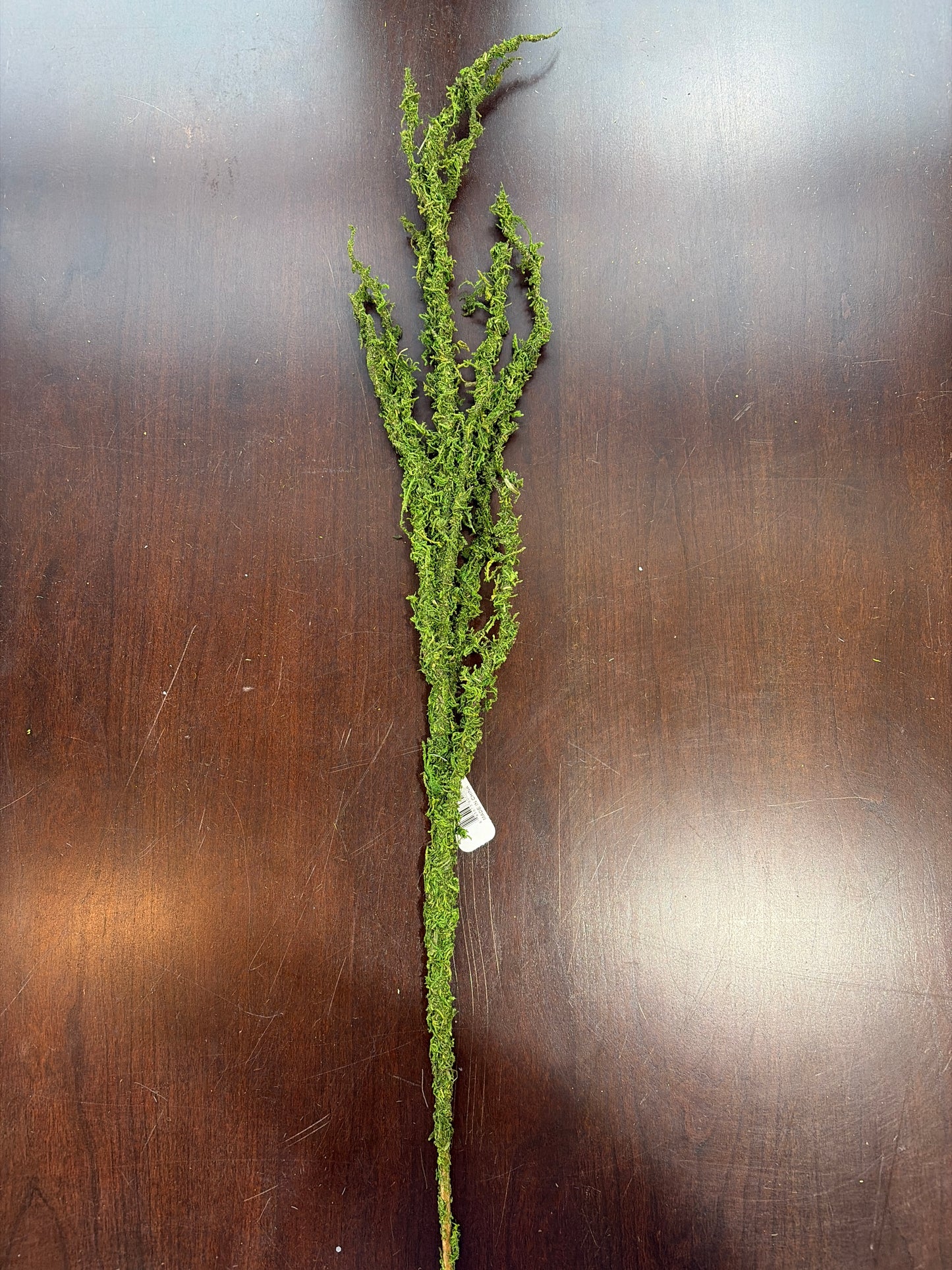 38in Mossy Plastic Twig
