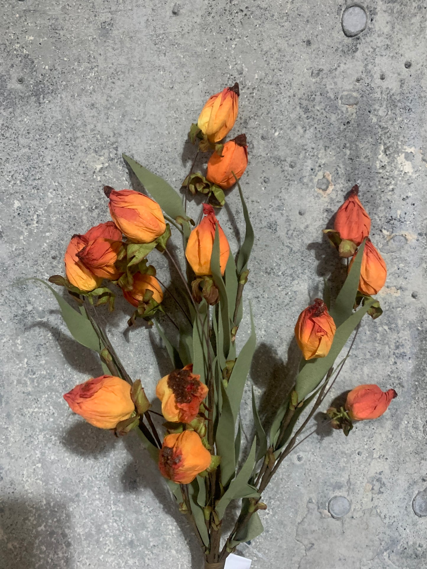 23in Lantern buds SUNSET