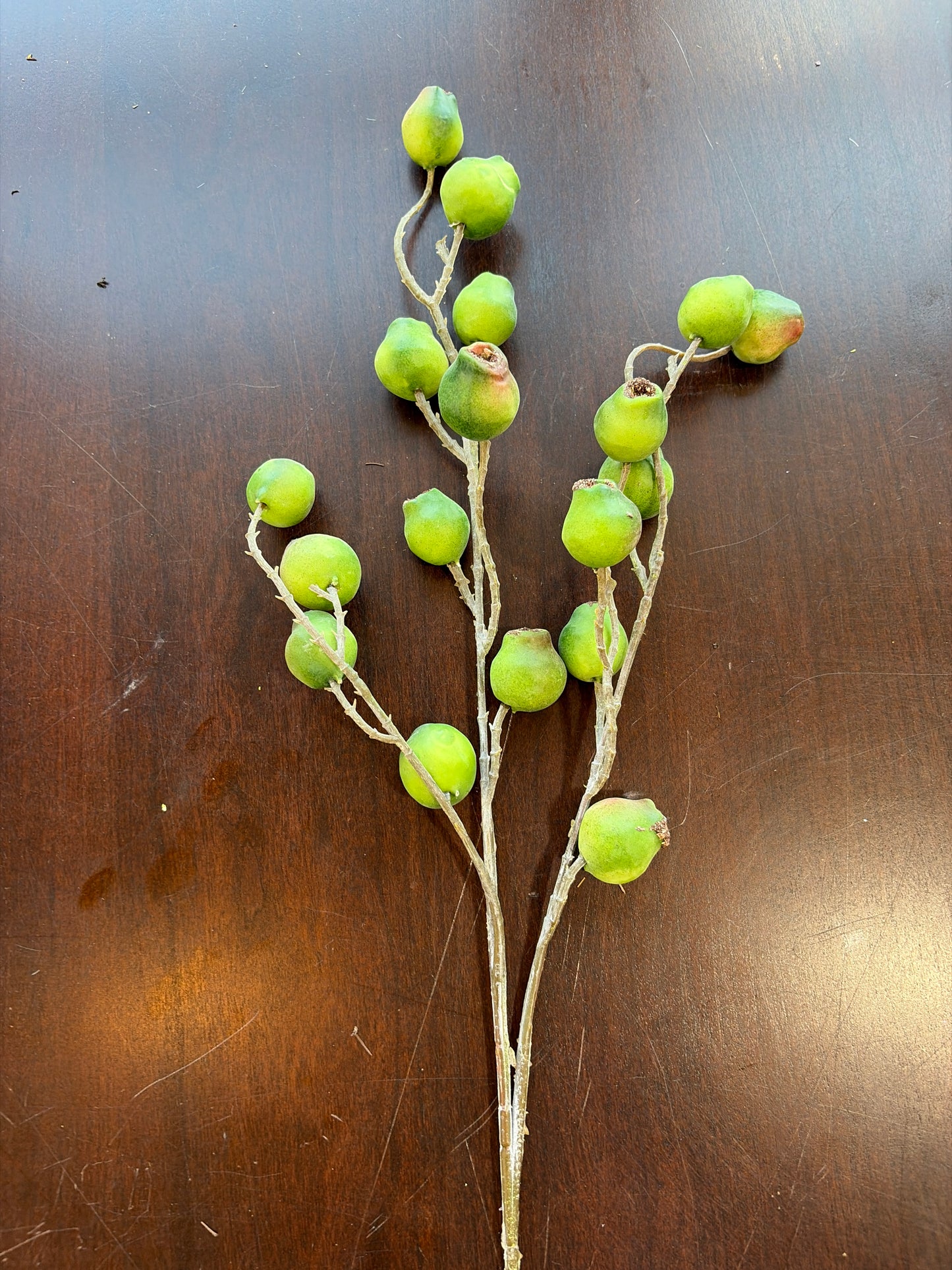 Green Eucalyptus Pod Spray