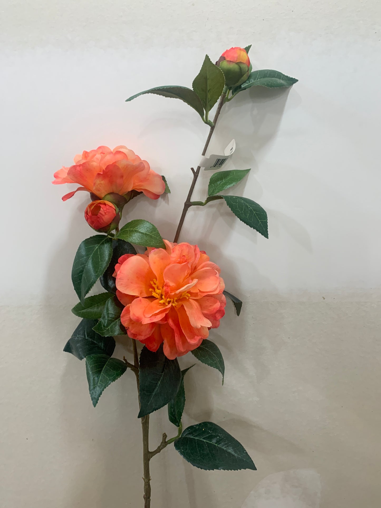 33in Peach Camellia Spray