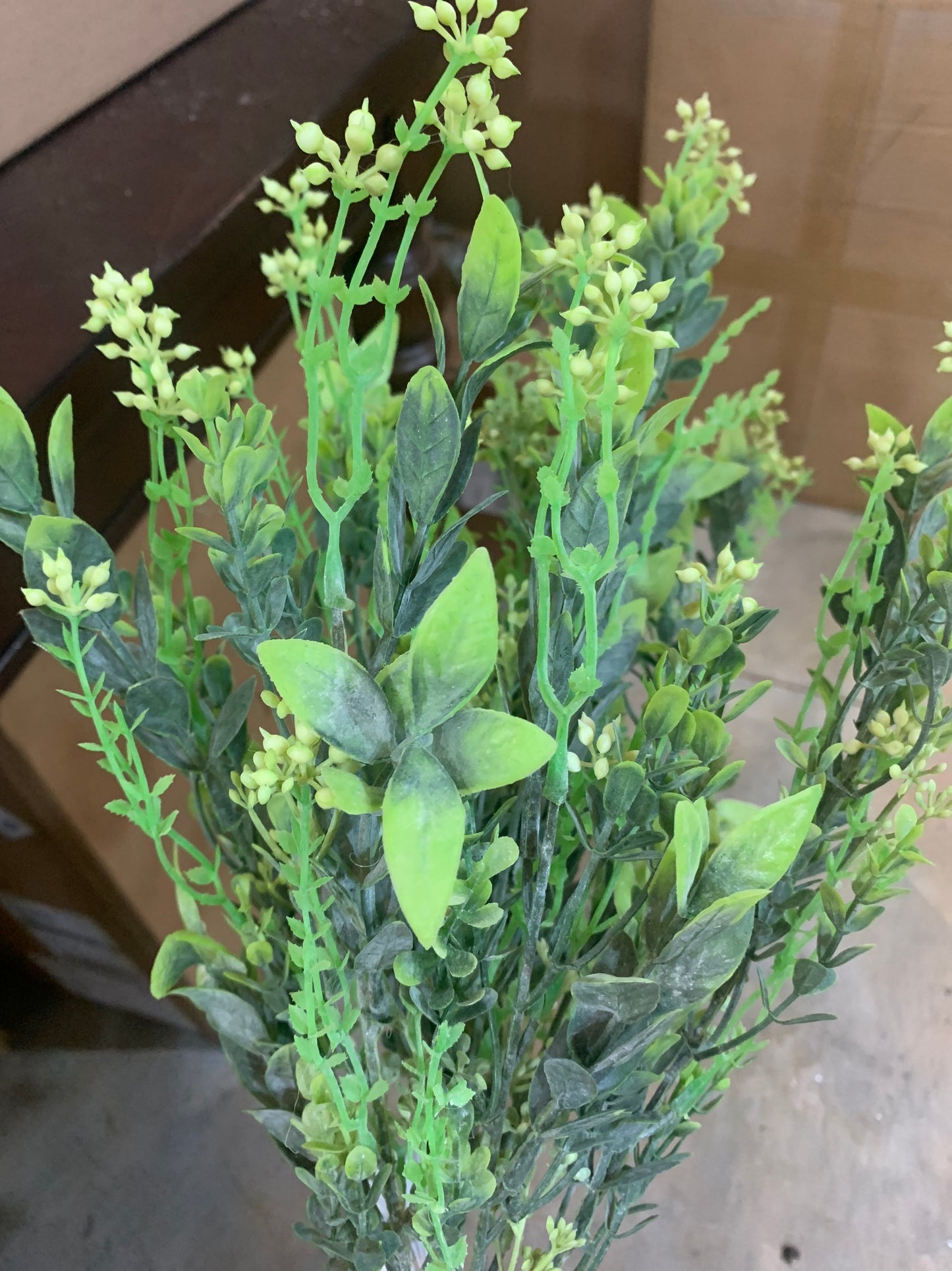 2-Tone GREEN Leaf Plant w/Cream Buds