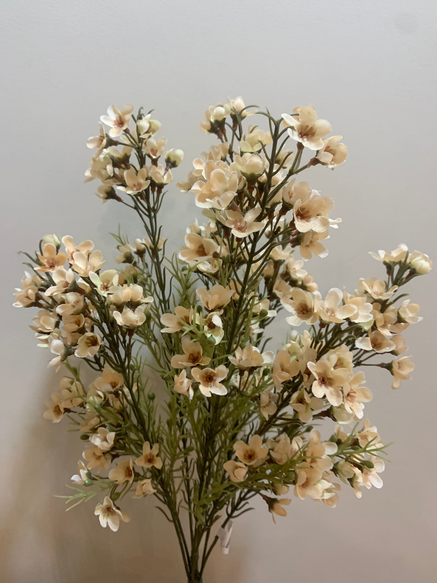 18in Waxflower CREAM
