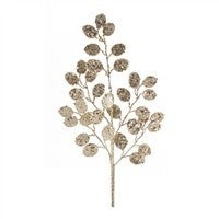 32" Silver Dollar Spray Champagne Melrose