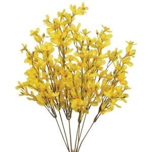 22in Forsythia x7 YELLOW