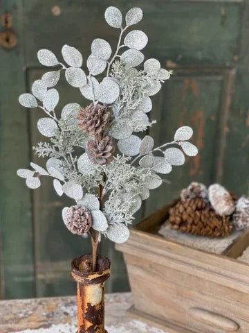 27in Silverdollar Euc w/Cedar & Cones