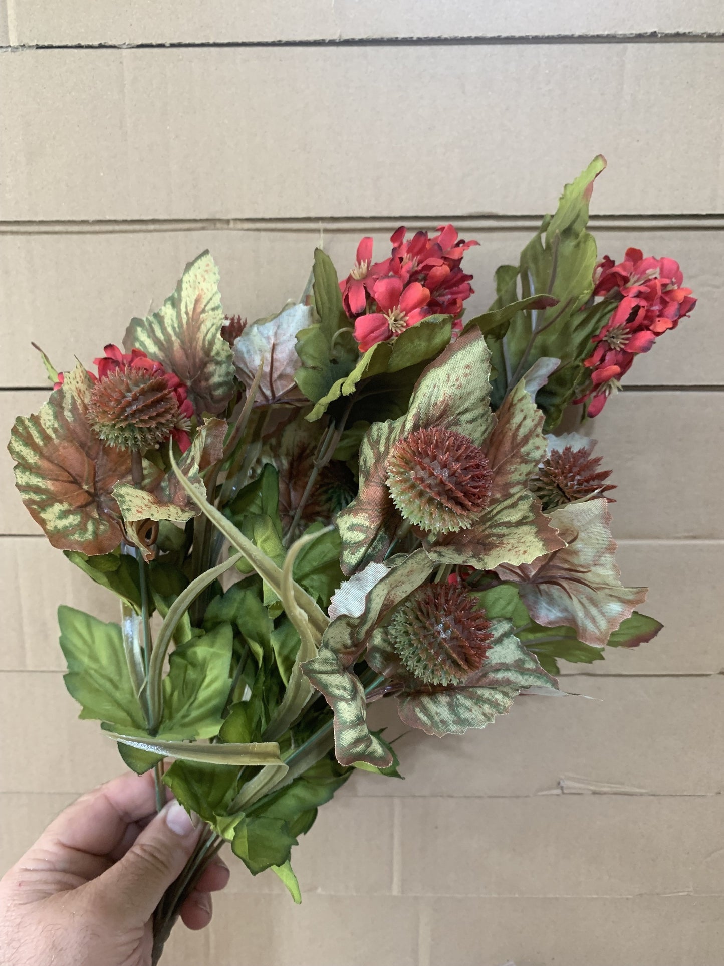 19in Sweetgum Bush x12