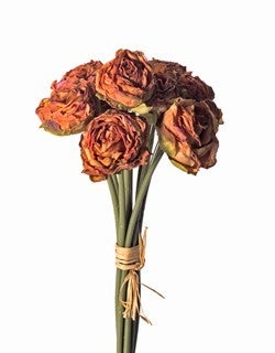 10in Dried Rose x10 SALMON CRI