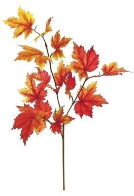 Maple Leaf Pick FLAME RD/OR