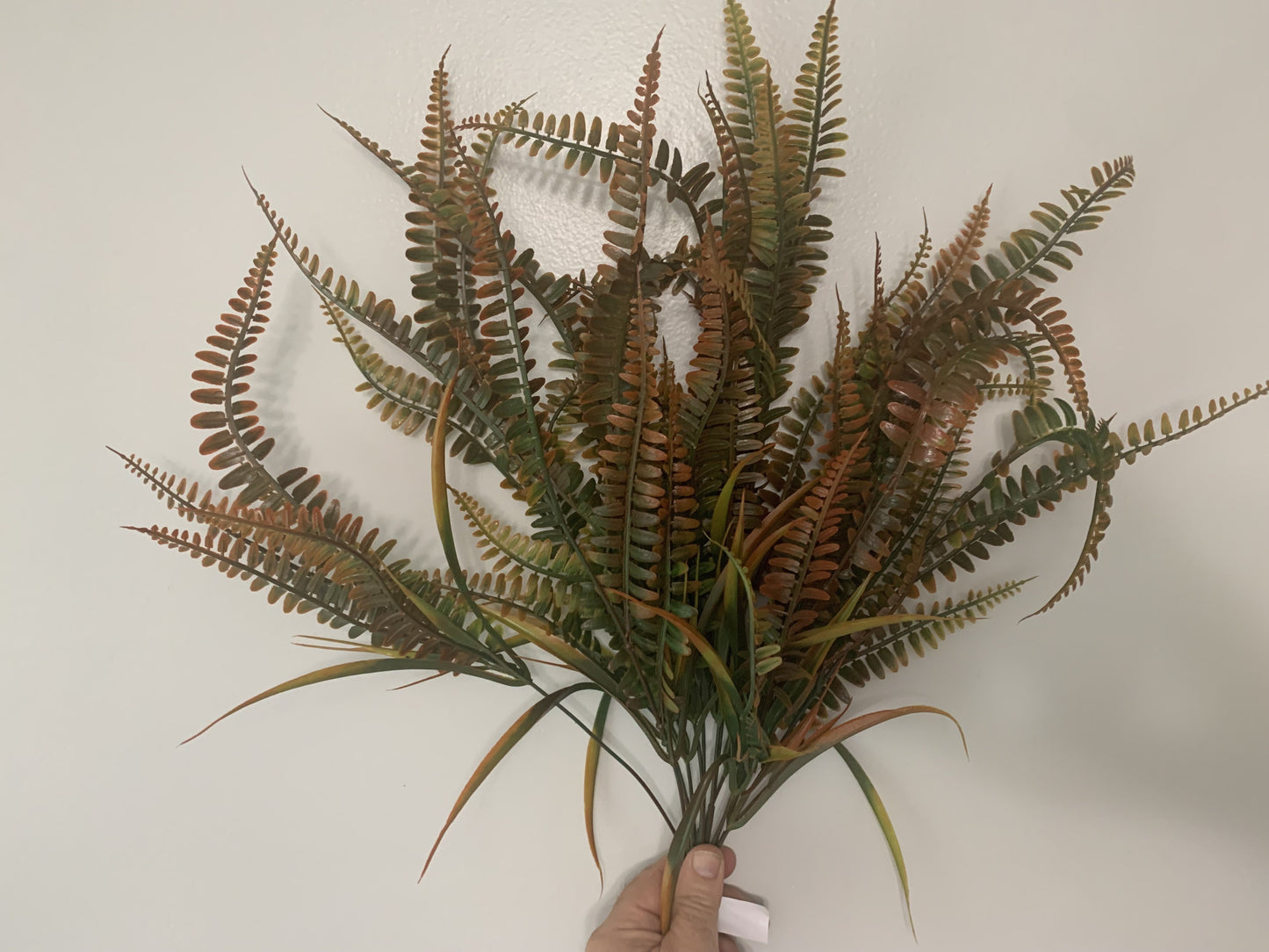 23in Boston Fern & Grass Bush x12