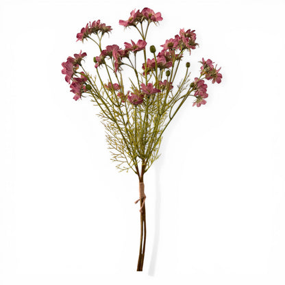 25in Mauve Cosmos Blooms