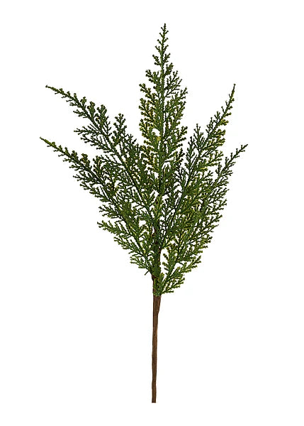 16in Arborvitae Bush - Premium Greenery for Wreaths, Arrangements and Home Decor Essentials