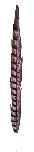 ONE DOZEN 27in Faux Pheasant Feather GREY BLACK BROWN