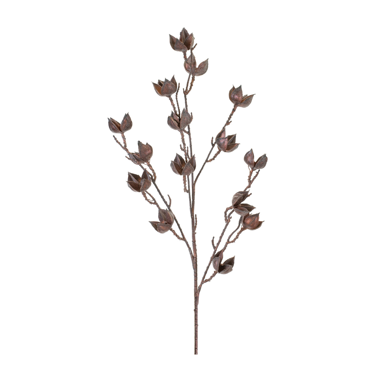 35in Copper Open Pod Spray  - Premium Florals for Wreaths, Arrangements and Home Decor CRI
