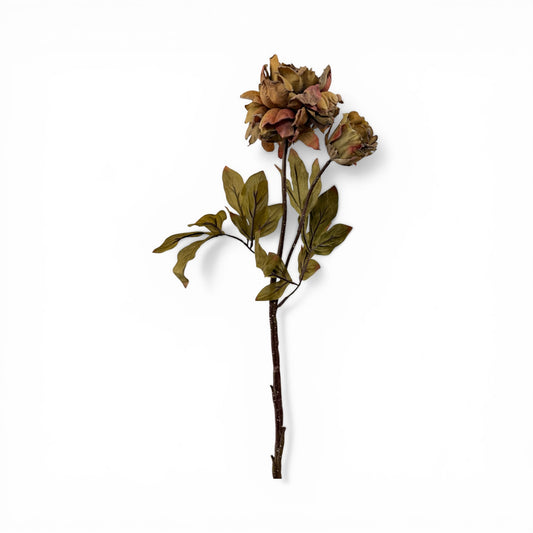 26in Brown Dried Peony and Bud