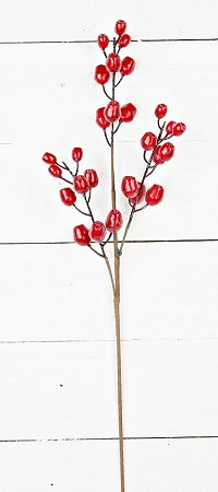 25in Date Berry Spray DARK RED