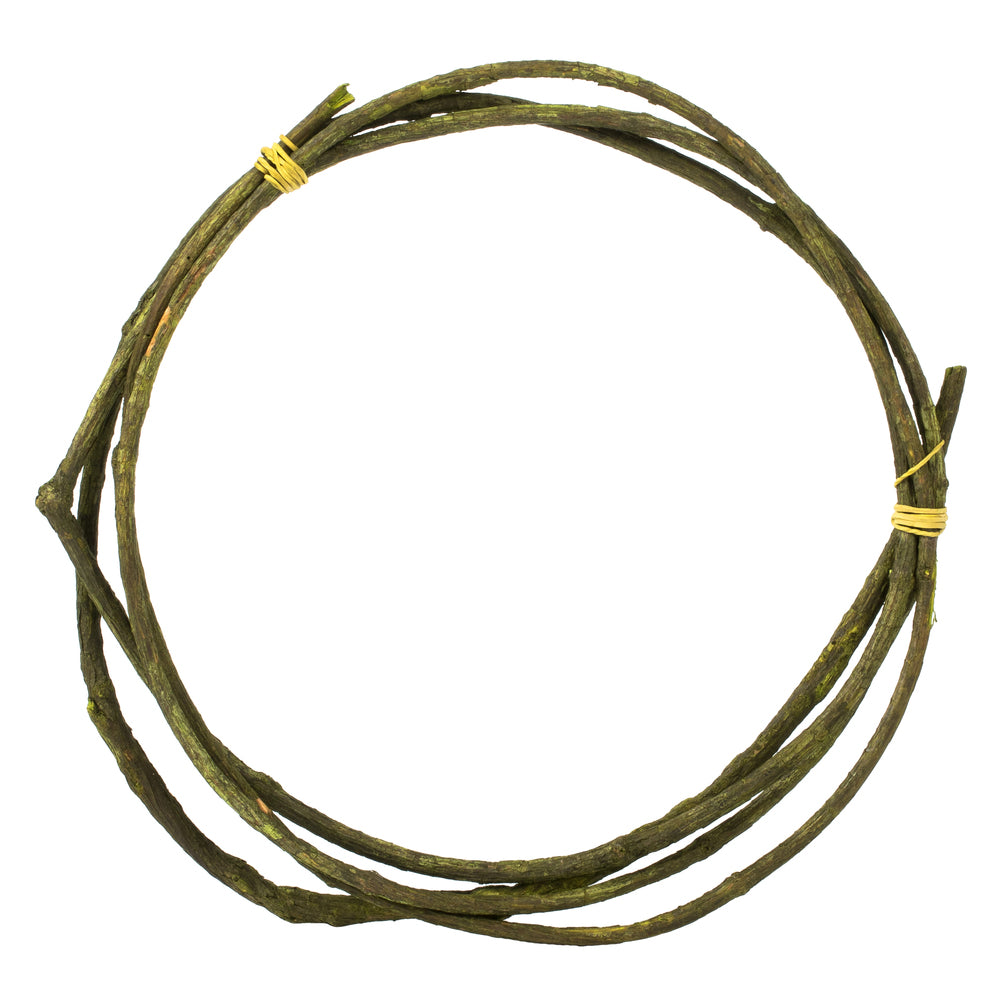 95in Basil Tranca Vine Coil
