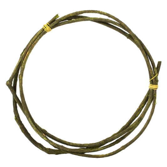 95in Basil Tranca Vine Coil