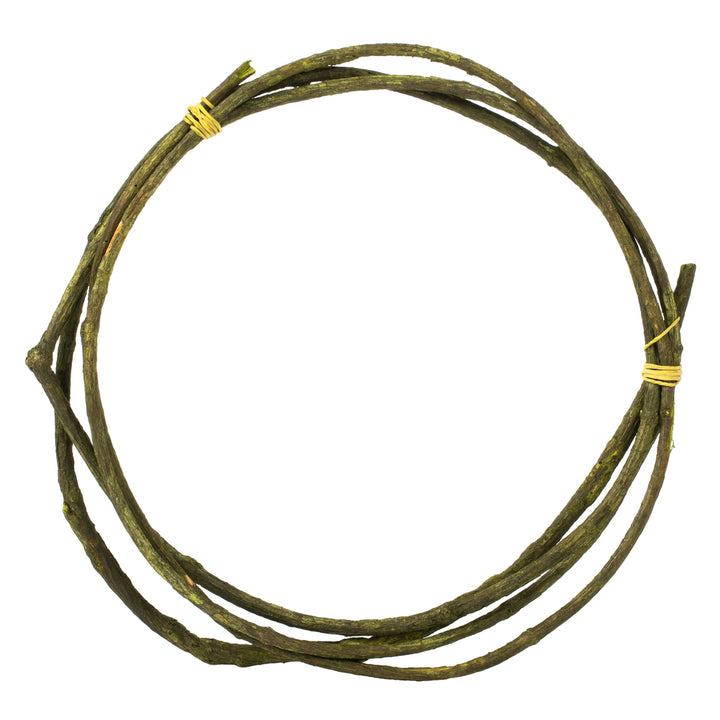95in Basil Tranca Vine Coil