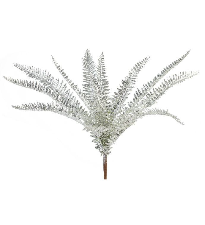 Silver Sparkle FERN Bush