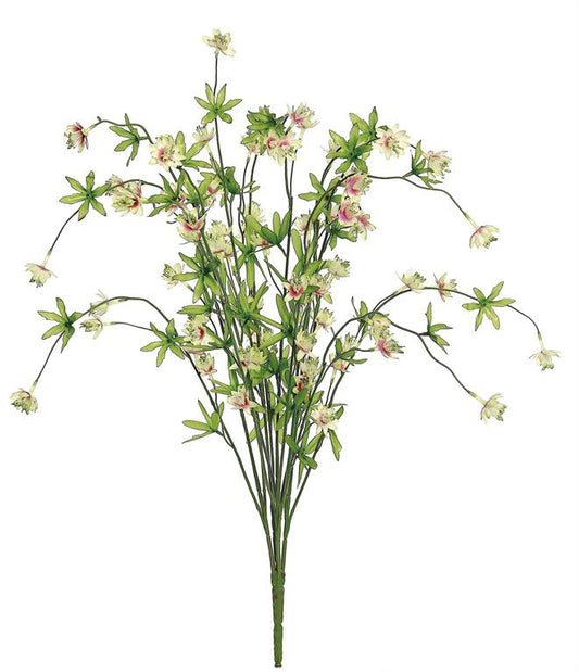 28in Aramerus Bush CREAM/CERISE