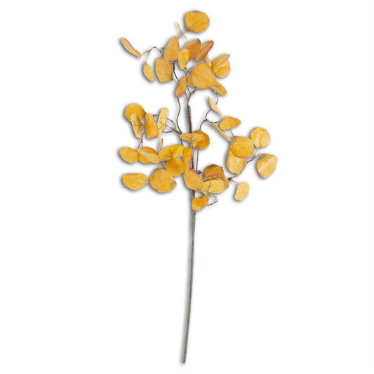 28in Gumdrop Eucalyptus Spray in Yellow/Gold K&K