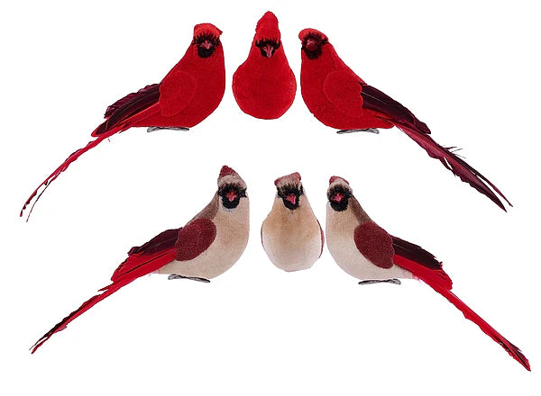 Box of 3 Cardinals (3 each male/female Craig Bachman