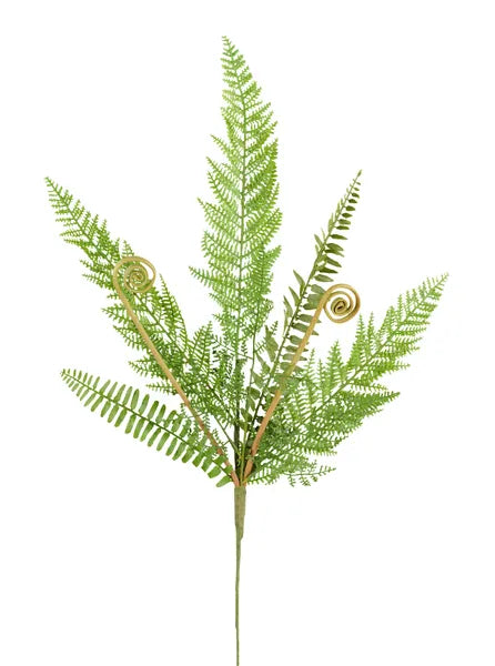 24in Mixed MultiGreen Fern