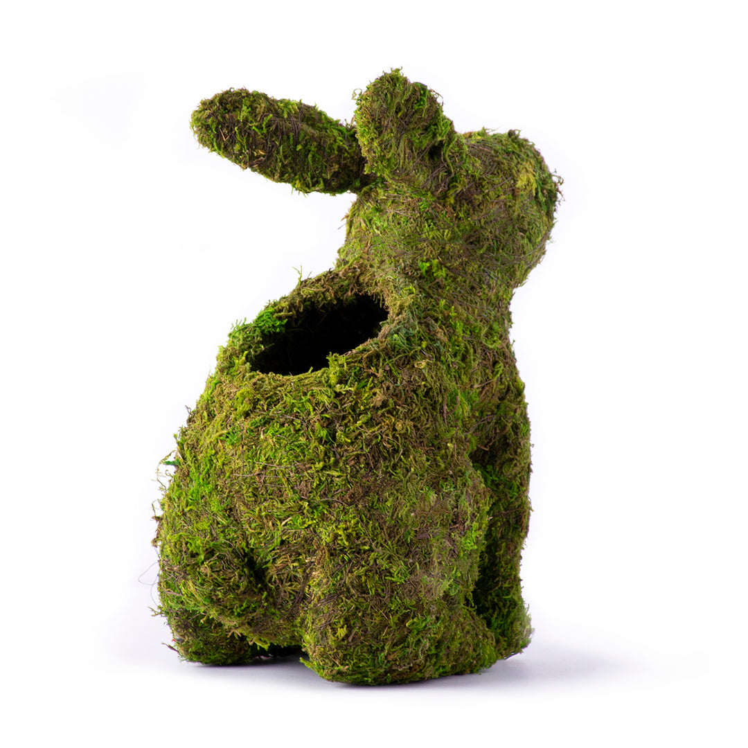 12in Large MOSS Bunny