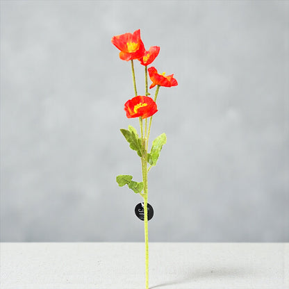 23in Orange Poppy