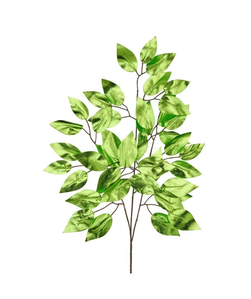 23in Metallic Ficus LIME