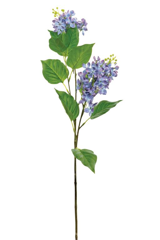 30in Blue/Pink French Lilac