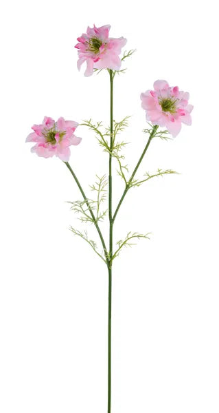 27in Cosmos Spray x3 PINK