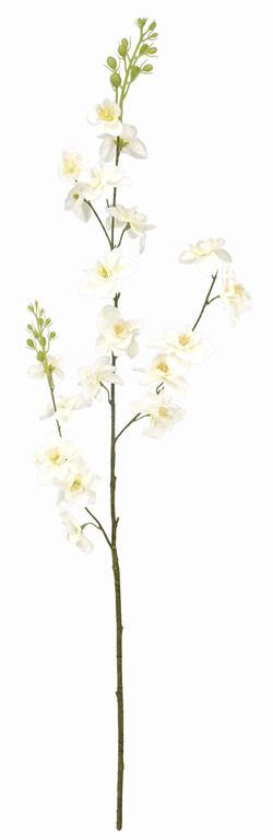 39in Wild Delphinium CREAM
