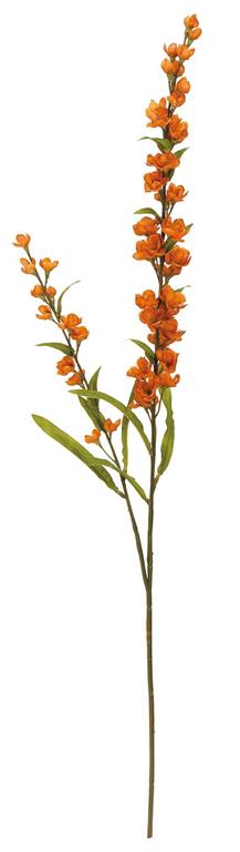 30 Burnt Orange Flowering Astilbe - Premium Florals for Wreaths, Arrangements and Home Decor