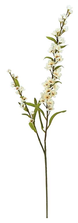 30in Ivory Flowering Astilbe x2