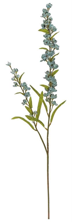 30in Slate Grey Flowering Astilbe x2