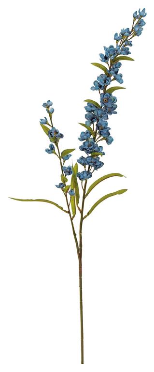 30in Yale Blue Flowering Astilbe x2