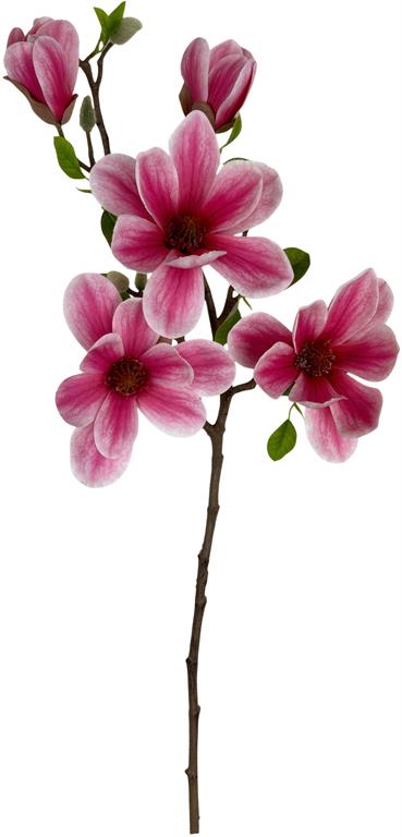 28in Dark Pink Saucer Magnolia