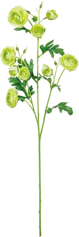 30in Apple Green Ranunculus Spray